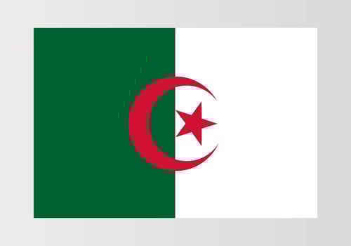 Brush painted Algeria flag Hand drawn style illustration with a grunge effect and watercolor. vector