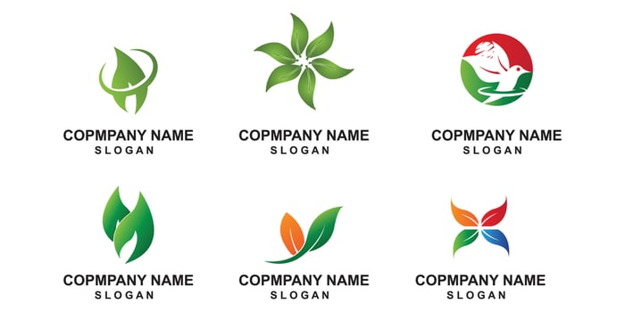 premium quality green leaf plant logo vector symbol