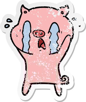 distressed sticker of a crying pig cartoon vector
