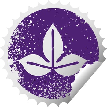 distressed circular peeling sticker symbol autumn leaf vector