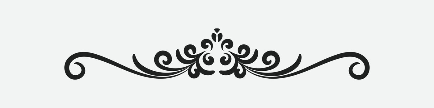Calligraphic ornament. Vintage Decoration. Vector isolated illustration