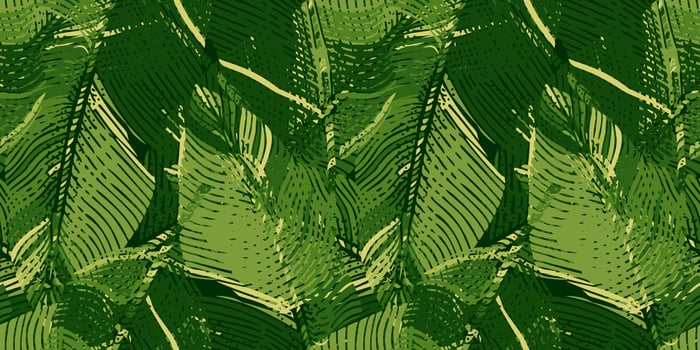 Abstract banana leaf seamless pattern. Engraving camouflage botanical background. vector