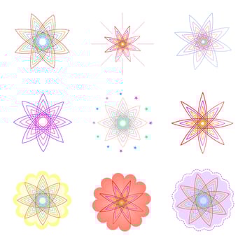 Season celebration star flower burst vector illustration