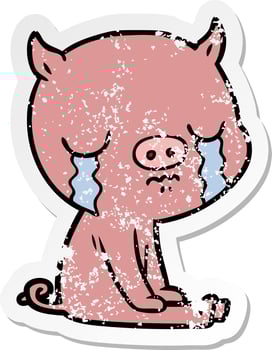 distressed sticker of a cartoon pig crying vector