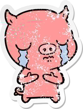 distressed sticker of a cartoon pig crying vector