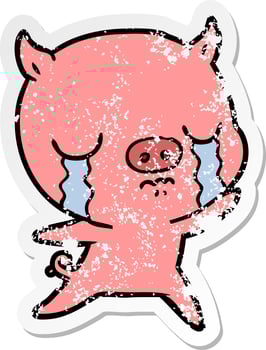 distressed sticker of a cartoon pig crying vector
