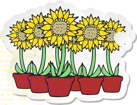 retro distressed sticker of a cartoon sunflowers vector