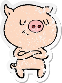 distressed sticker of a happy cartoon pig with crossed arms vector