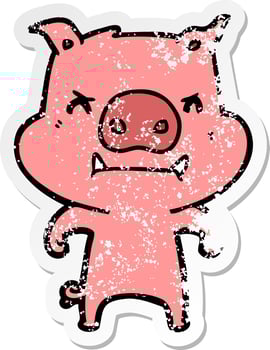 distressed sticker of a angry cartoon pig vector
