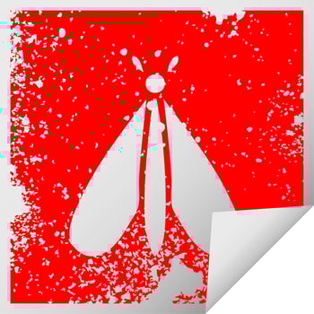 distressed square peeling sticker symbol moth bug vector