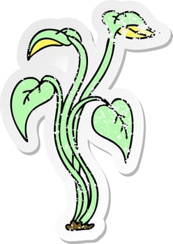 distressed sticker of a quirky hand drawn cartoon plant vector