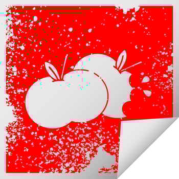 distressed square peeling sticker symbol juicy apple vector