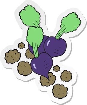 sticker of a cartoon beetroot vector