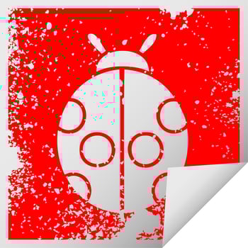 distressed square peeling sticker symbol lady bug vector
