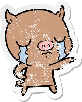distressed sticker of a cartoon pig crying pointing vector