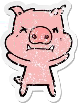 distressed sticker of a angry cartoon pig vector
