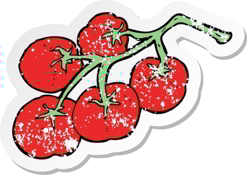 retro distressed sticker of a tomatoes on vine illustration vector