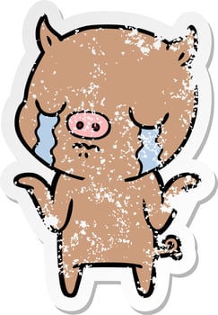 distressed sticker of a cartoon pig crying vector