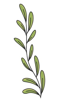 Olive branch with leaves. Olive oil label or logo for a farmers shop or market. Retro emblem of organic olive oil vector illustration isolated on white background.