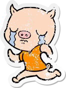 distressed sticker of a cartoon pig crying running away vector