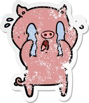 distressed sticker of a crying pig cartoon vector