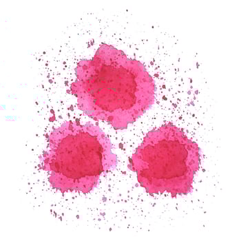 Watercolor red and pink spots in the form of flowers with drops of splashes, on a white background. vector