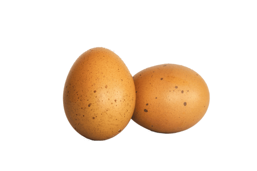 egg on isolated background Clipping path png