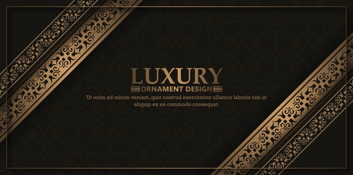 Elegant pattern style dark background vector