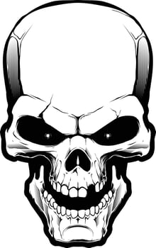 The image of the skull vector