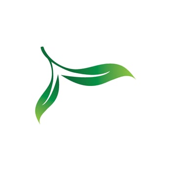 Logos of green Tree leaf ecology nature element vector