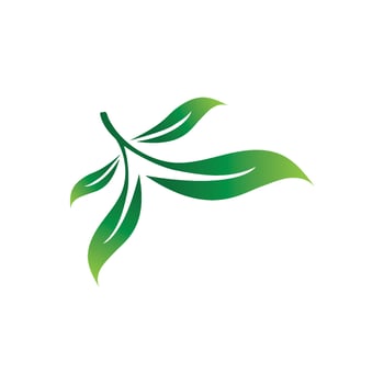 Logos of green Tree leaf ecology nature element vector