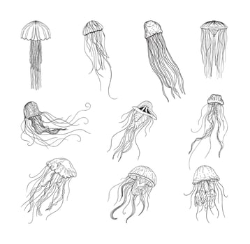 Jellyfish Illustrations in Art Ink Style vector