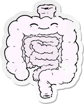 distressed sticker of a cartoon intestines vector