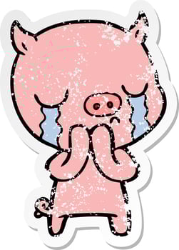distressed sticker of a cartoon pig crying vector