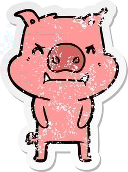 distressed sticker of a angry cartoon pig vector