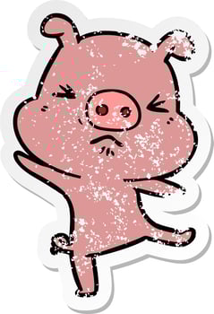 distressed sticker of a cartoon furious pig vector