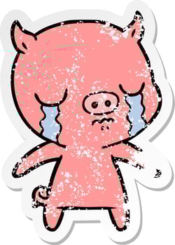 distressed sticker of a cartoon pig crying vector