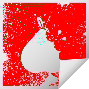 distressed square peeling sticker symbol green pear vector