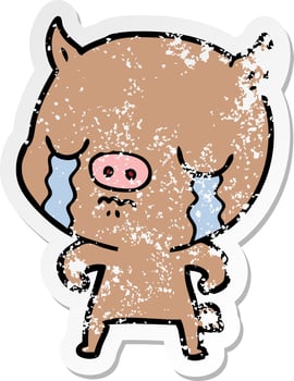distressed sticker of a cartoon pig crying vector