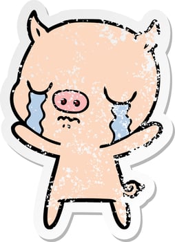 distressed sticker of a cartoon pig crying vector