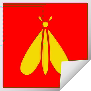 square peeling sticker cartoon moth bug vector