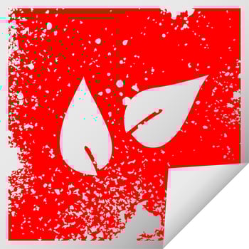 distressed square peeling sticker symbol leaves vector
