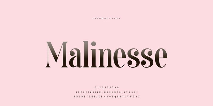 Elegant wedding font Pro Vector, Luxury Royal Abstract minimal modern font vector