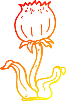 warm gradient line drawing cartoon wild flower vector