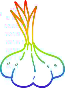 rainbow gradient line drawing cartoon garlic bulb vector