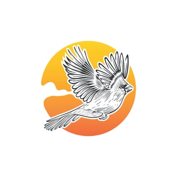 cardinal bird logo flying in the sun vector