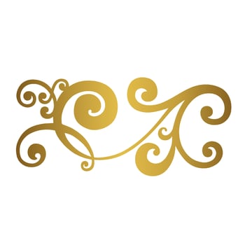 Vector damask vintage baroque scroll ornament swirl. Victorian monogram heraldic shield swirl. Retro floral leaf pattern border foliage antique  acanthus calligraphy engraved tattoo.Tile decor element