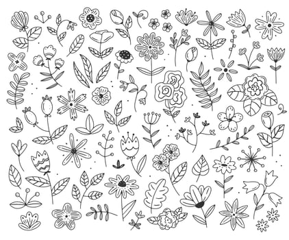 A large set of different flowers and plants in a simple linear doodle style. Vector isolated floral illustration.