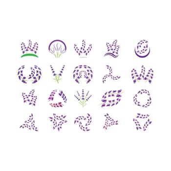 Fresh Lavender flower logo vector