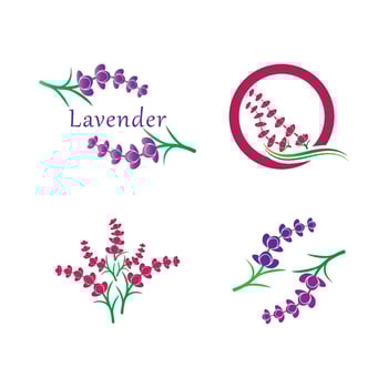 Fresh Lavender flower logo vector